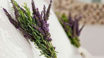 E' davvero utile la lavanda e il suo olio essenziale per favorire il riposo notturno?